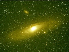 M31