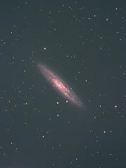 NGC253