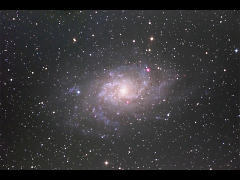 M33