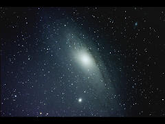 M31