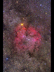 IC1396