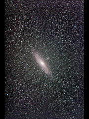 M31