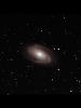 M81μ̿