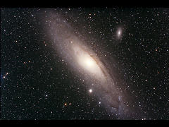 M31