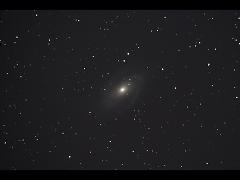 M81