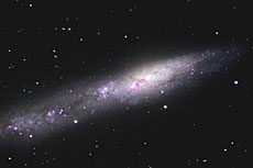 NGC55