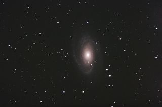 M81μ̿