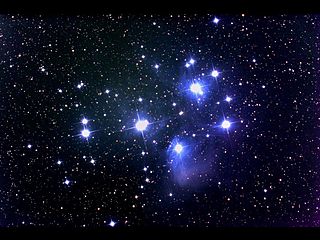 M45 ץ쥢ǥĤμ̿