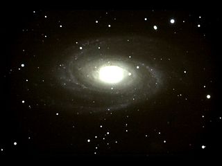 ʤ޺ M81μ̿