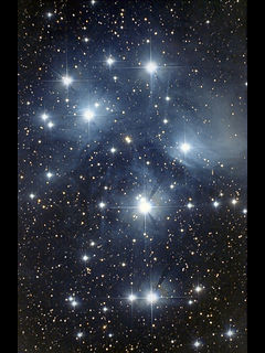 M45 ץ쥢ǥĤμ̿