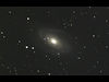 M81μ̿