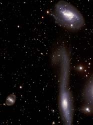 MCG-01-39-003NGC 5917SN 2005cfβ