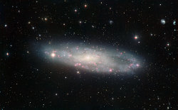 NGC 247βĻ̿