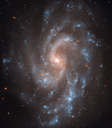 ʶNGC 5584β