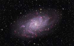 M33β