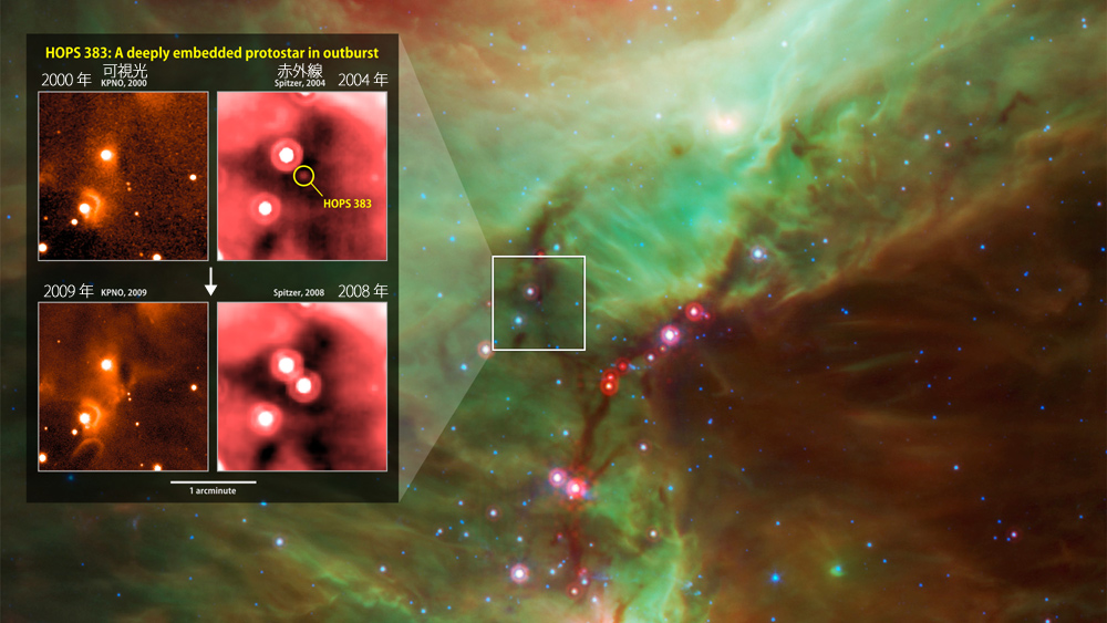 原始星HOPS 383の急増光のようす 原始星HOPS 383の急増光のようす