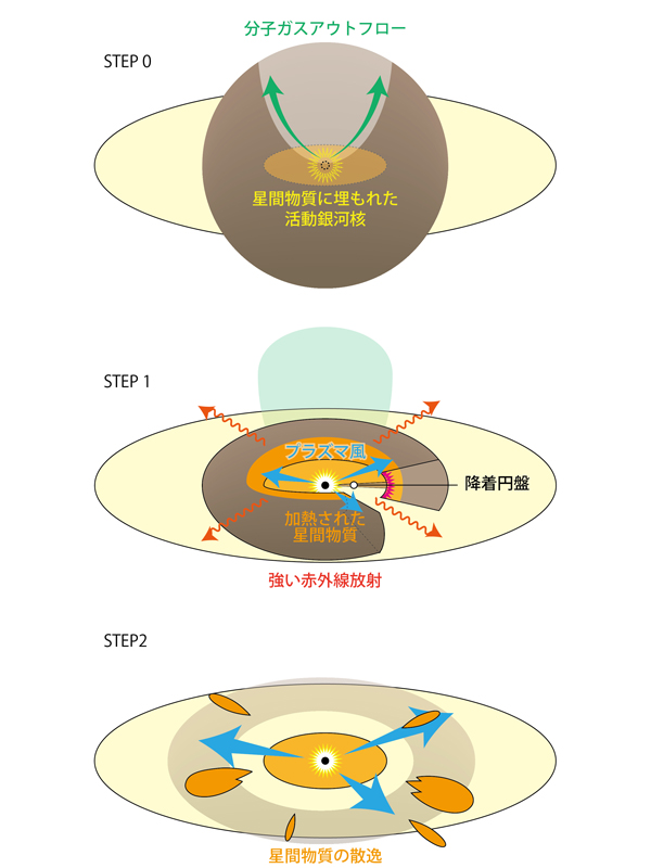 活動銀河核の進化 活動銀河核の進化