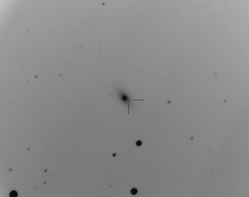 うしかい座の超新星 うしかい座の超新星