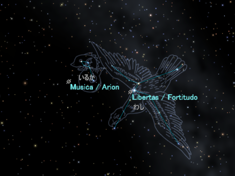 MusicaとLibertasの位置 MusicaとLibertasの位置