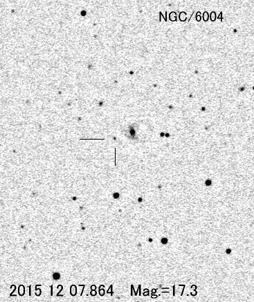 へび座の超新星 へび座の超新星
