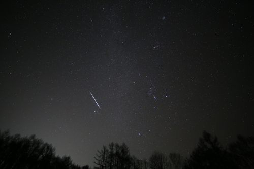 ふたご座流星群 ふたご座流星群