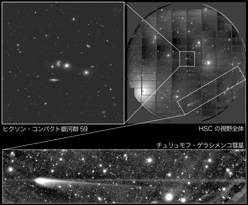 HSCの視野に入り込んだチュリュモフ・ゲラシメンコ彗星 HSCの視野に入り込んだチュリュモフ・ゲラシメンコ彗星