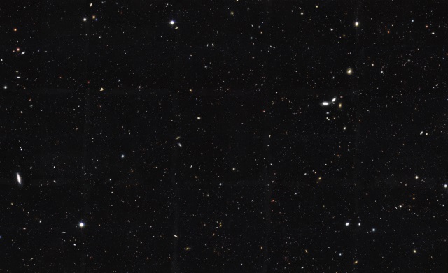 HST GOODSサウス・フィールド HST GOODSサウス・フィールド