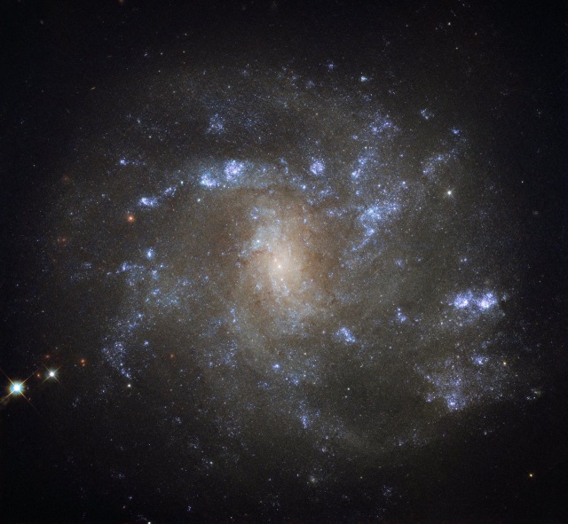 NGC 2500 NGC 2500