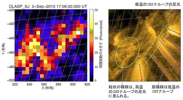 彩層での速いスケールの時間変動のマップとNASAの太陽観測衛星「SDO」がとらえたコロナループ 彩層での速いスケールの時間変動のマップとNASAの太陽観測衛星「SDO」がとらえたコロナループ
