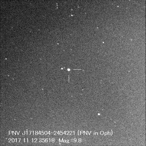 野口さん撮影の新星