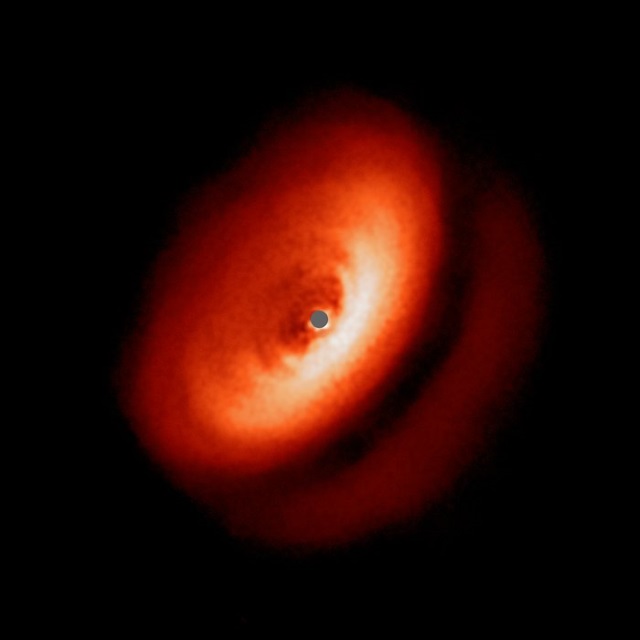 「おおかみ座IM星」を取り巻く円盤 「おおかみ座IM星」を取り巻く円盤