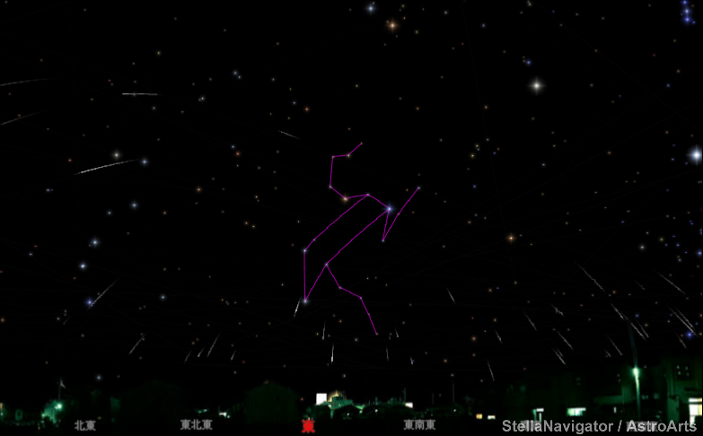 2031年のしし座流星群 2031年しし座流星群