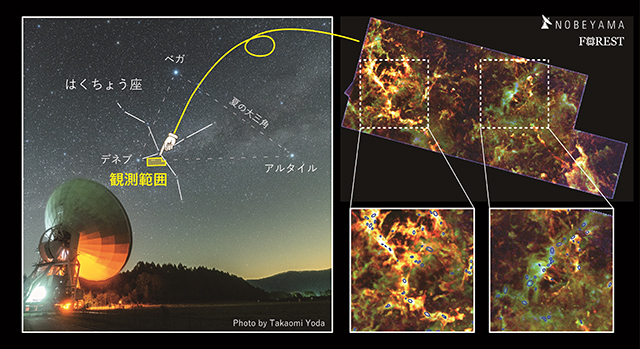 はくちょう座の観測領域を含む星景画像とはくちょう座X領域の電波画像 はくちょう座の観測領域を含む星景画像と、はくちょう座X領域の電波画像