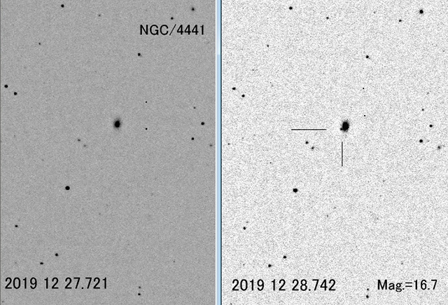 りゅう座の超新星 りゅう座の超新星