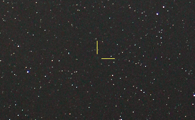 岩本さん撮影の発見画像 岩本さん撮影の発見画像