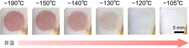 赤色が消失していく様子 赤色が消失していく様子