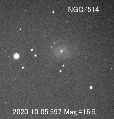 うお座の新天体 うお座の新天体