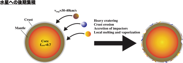 水星への後期集積の概念図 水星への後期集積の概念図