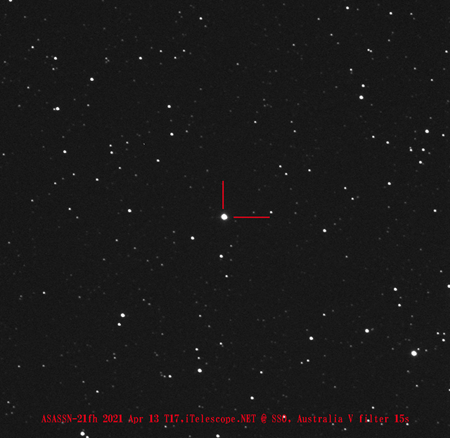 確認画像 確認画像