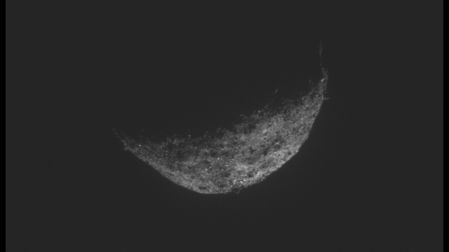 ベンヌの最後の画像 ベンヌ