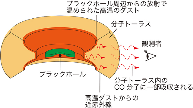 分子トーラス内の一酸化炭素ガスによる近赤外線吸収の概念図 分子トーラス内の一酸化炭素ガスによる近赤外線吸収の概念図
