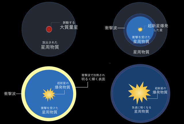 爆発する星と星周物質の相互作用の模式図 爆発する星と星周物質の相互作用の模式図