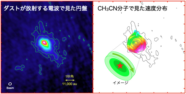 W49N MCN-aのダストの連続放射とシアン化メチルで見た速度分布 W49N MCN-aのダストの連続放射とシアン化メチルで見た速度分布