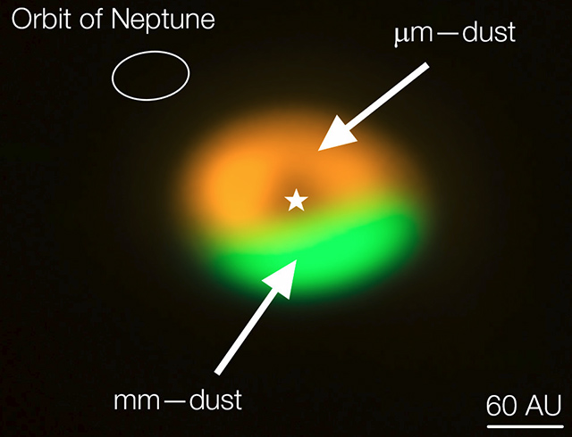 ダストトラップ ダストトラップ