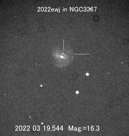 しし座の新天体 しし座の新天体