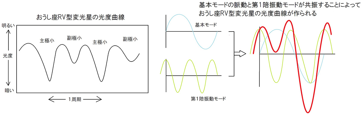 おうし座RV型変光星の光度曲線 おうし座RV型変光星の光度曲線