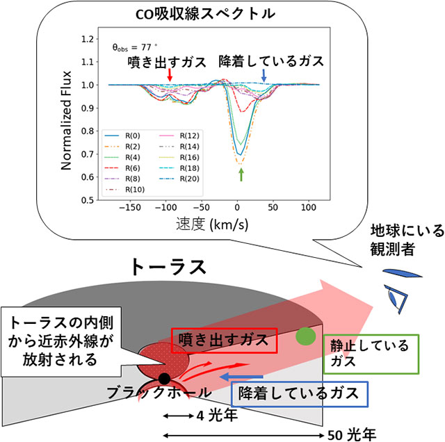 一酸化炭素吸収線スペクトルの観測 一酸化炭素吸収線スペクトルの観測