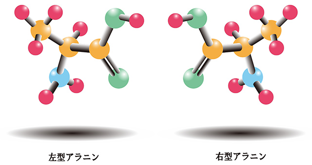 アミノ酸の構造と鏡像異性体 アミノ酸の構造と鏡像異性体