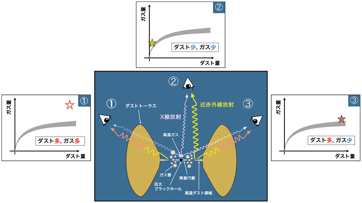 ダストトーラスの構造の概念図 ダストトーラスの構造の概念図