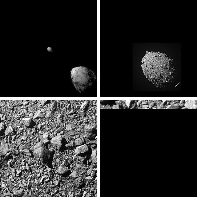 DRACOがとらえたディモルフォス DRACOがとらえたディモルフォス